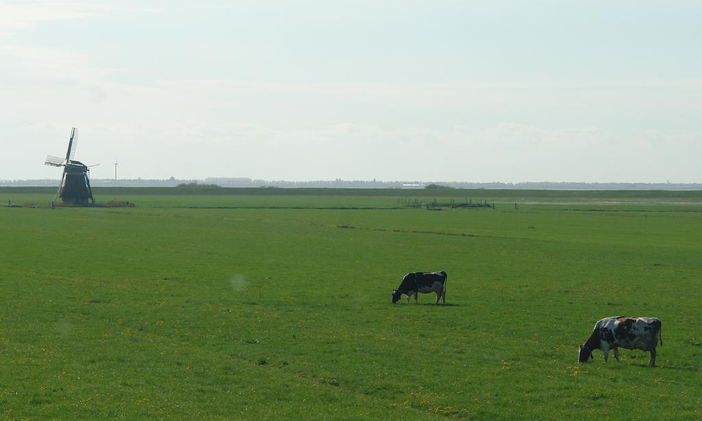 Lyklamastate Nijemirdum Exterior photo
